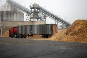 Una línea única en Latinoaméricabusca abrir camino al reciclajeindustrial de madera en Chile