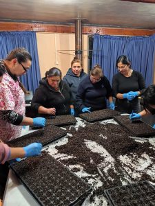 Quiero mi Barrio impulsa huertos familiares y rescata la tradición campesina en Santa Juana