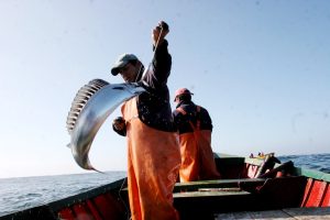 Cuarto pago del Cupón “Pesca Artesanal” inyecta $94,7 millones a armadores de la Región del Biobío